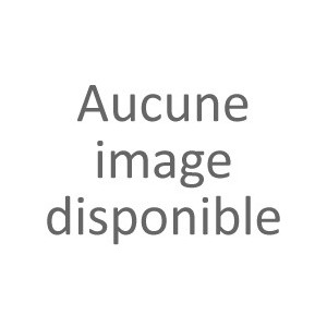 RISCO Agility, IP, RTC, NFA2P, 1 DO 1 DM sans fil pour maison ou appartement