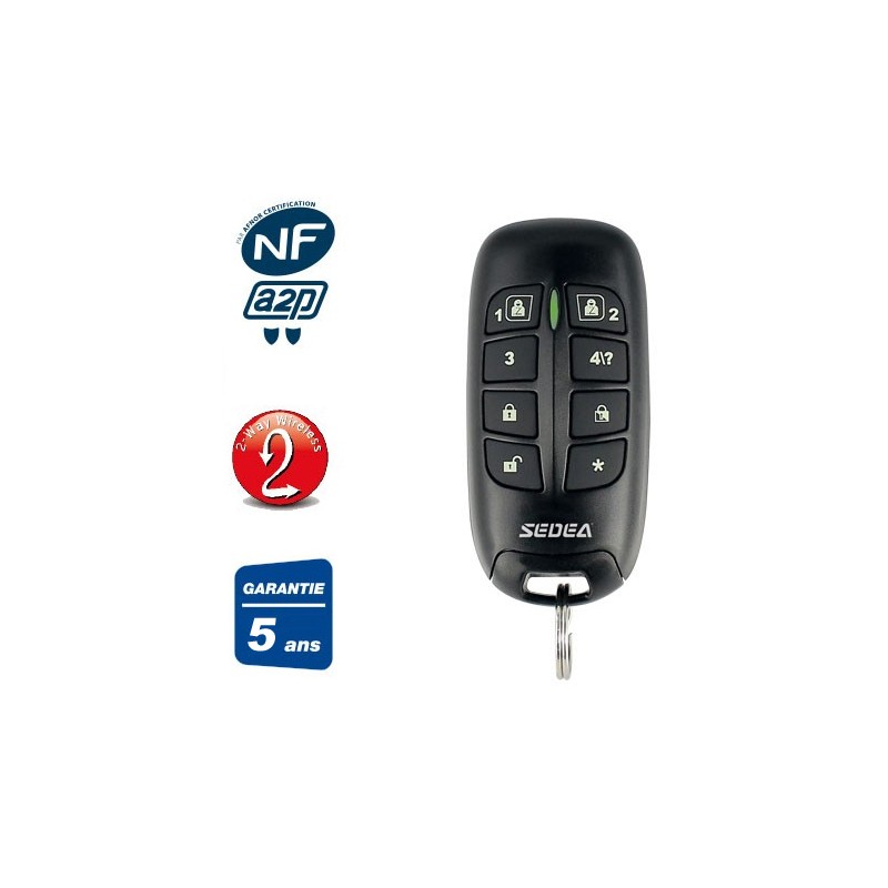 Télécommande 2 Boutons Pour Hayon DHOLLANDIA, ANTEO, HYDRIS - Manette De Contrôle Hayon élévateur